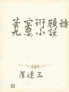 萧宴珩顾穗宁沈九思小说
