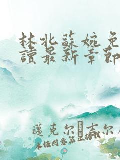 林北苏婉免费阅读最新章节