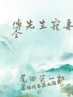 傅先生宠妻无度全