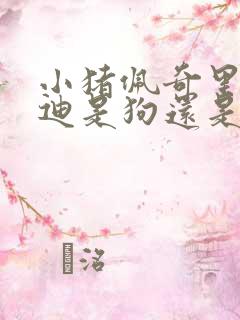 小猪佩奇里的泰迪是狗还是熊