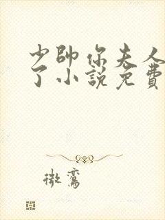 少帅你夫人又跑了小说免费阅读