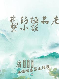 我的极品老婆完整小说