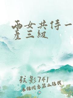 两女共侍一夫国产三级