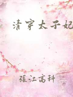 清穿太子妃日常