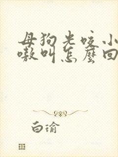 母狗光咬小狗嗷嗷叫怎么回事