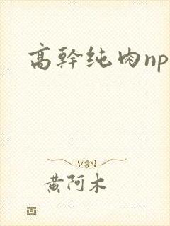 高干纯肉np文