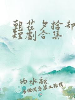 朝花夕拾却已迟短剧合集