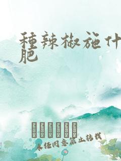 种辣椒施什么底肥