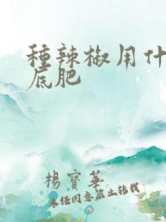 种辣椒用什么作底肥