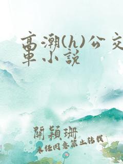 高潮(h)公交车小说