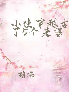 小伙穿越古代娶了5个老婆