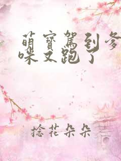 萌宝驾到爹地妈咪又跑了