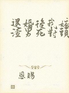 退婚后我嫁给了渣男死对头