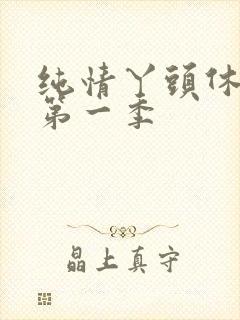 纯情丫头休想逃第一季