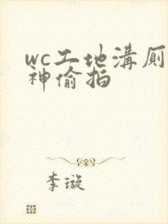 wc工地沟厕大神偷拍
