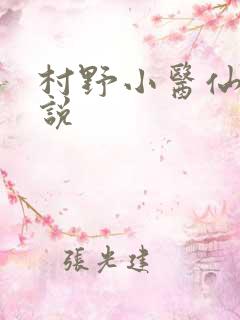 村野小医仙 小说