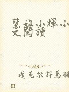 慧姐小辉小说全文阅读