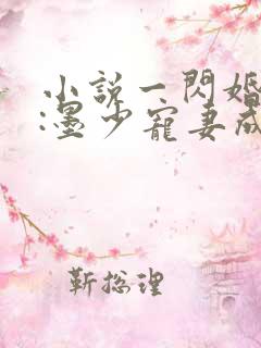 小说一闪婚厚爱:墨少宠妻成瘾