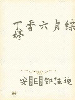 丁香六月综合婷婷