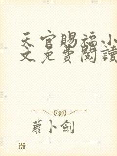 天官赐福小说全文免费阅读无删减