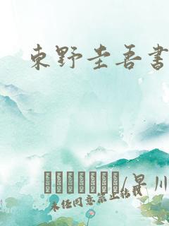 东野圭吾书推荐