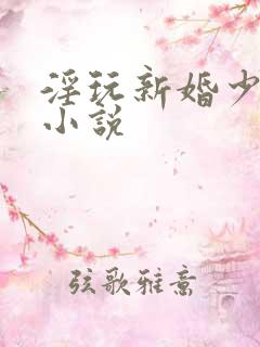 淫玩新婚少妇的小说