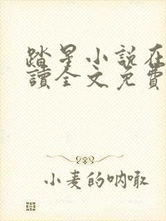 踏星小说在线阅读全文免费