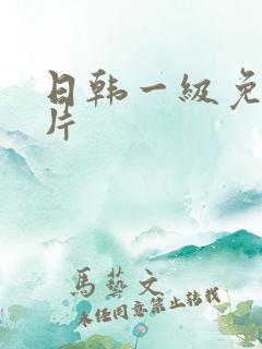 日韩一级免费淫片