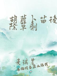 胡萝卜苗后专用除草剂