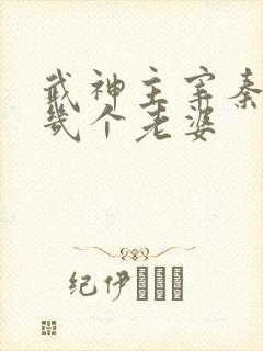 武神主宰秦尘有几个老婆