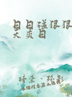 日日碰狠狠添天天爽日