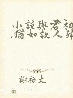 小说与君初相识,犹如故人归