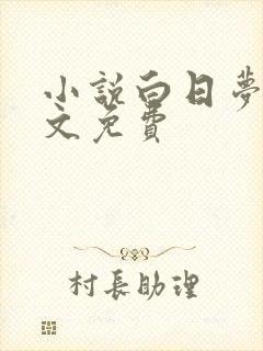 小说白日梦我全文免费