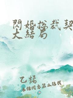 闪婚总裁契约妻大结局