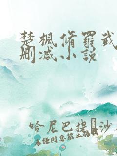 楚枫修罗武神未删减小说