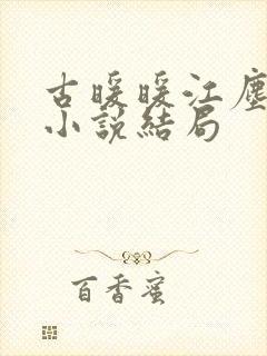古暖暖江尘御的小说结局