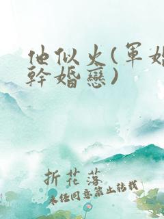 他似火(军婚高干婚恋)