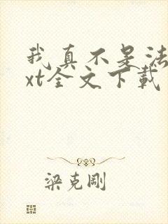 我真不是法爷txt全文下载