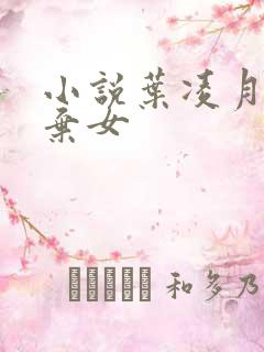 小说叶凌月神医弃女