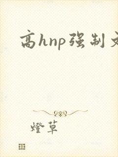 高hnp强制文 高hnp强制文