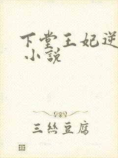 下堂王妃逆袭记 小说