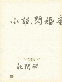 小说,闪婚蜜爱