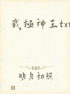武极神王txt
