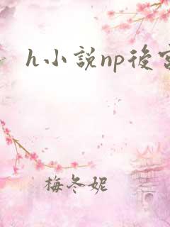 h小说np后宫