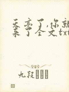 天亮了,你就回来了全文txt下载