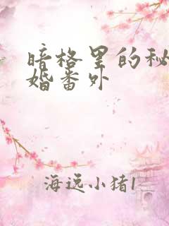 暗格里的秘密结婚番外