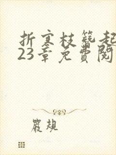 折寒枝簪起霜思23章免费阅读入口