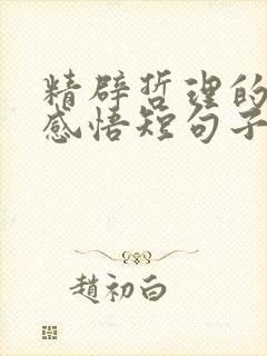 精辟哲理的人生感悟短句子