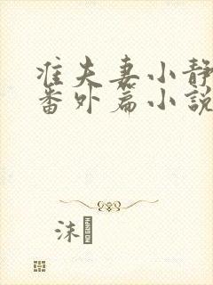准夫妻小静婚后番外篇小说