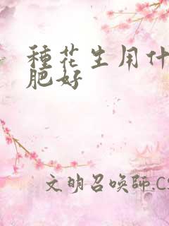 种花生用什么化肥好
